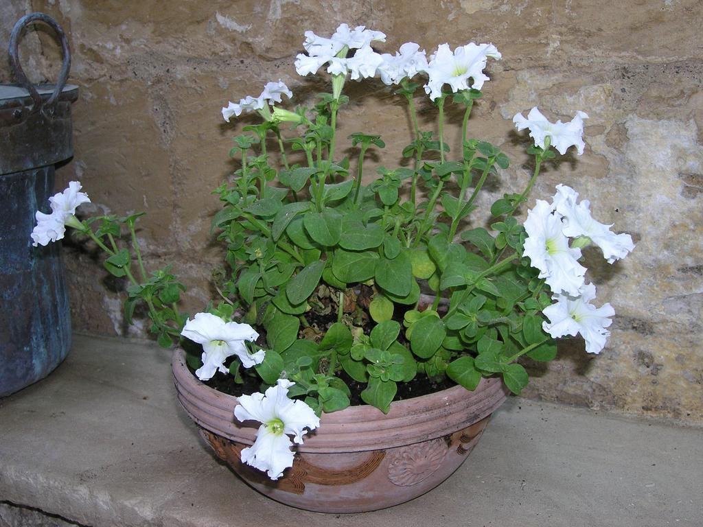 B&B Malennio Lecce Buitenkant foto